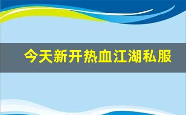 今天新开热血江湖私服 (4)